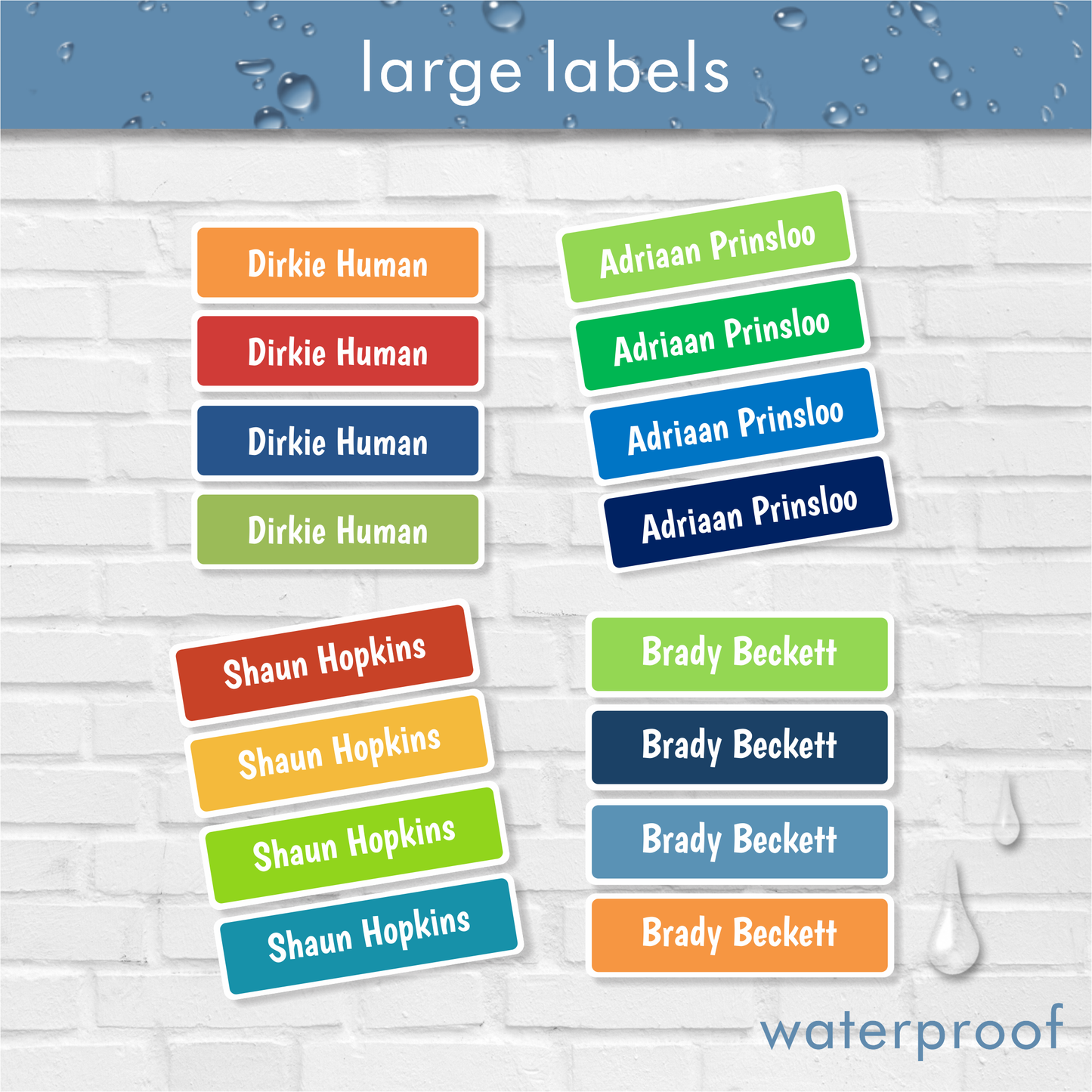 Waterproof Classic Large Labels